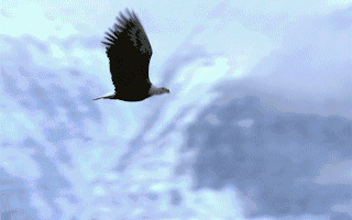 株洲中车时代半导体有限公司动态测试台设备采购项目国际招标公告(1)